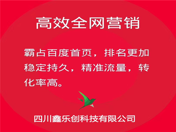 德阳网络公司