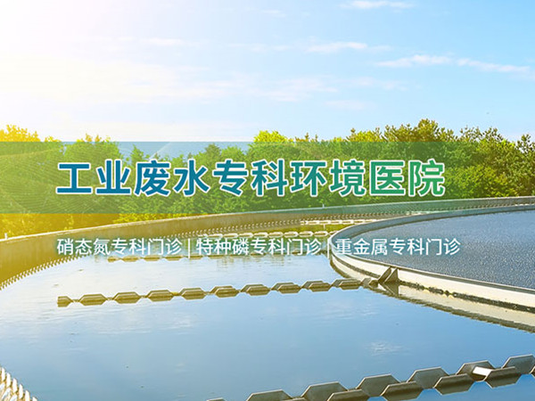 中江高端网络设计哪家好